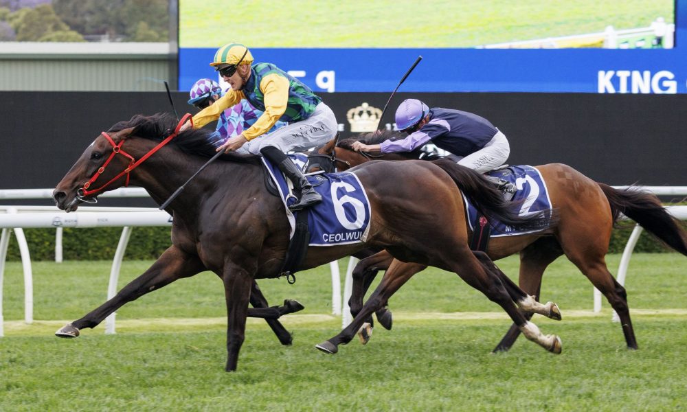 了现实生活 了现实生活